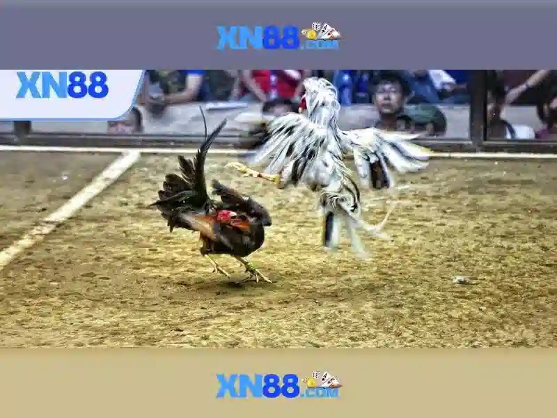 💎captain jack slots💎