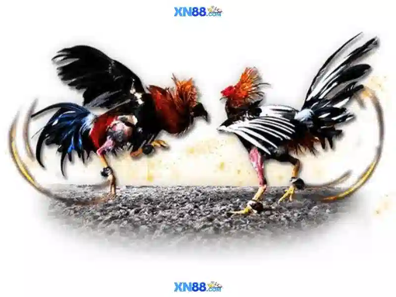 💎777 888slot casino online games💎