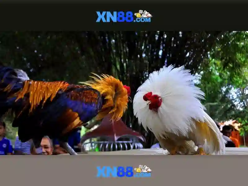 💎cat88 nha cai💎