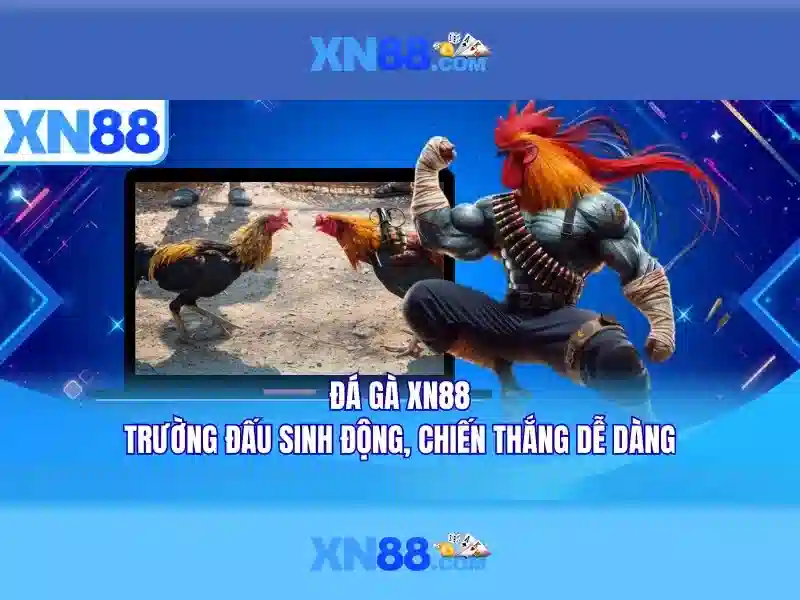 💎tỷ lệ cá cược chung kết c1💎