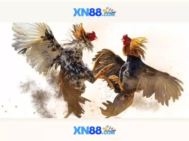 💎how to win at slots in vegas💎