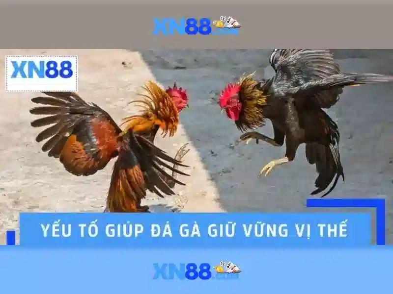 💎kèo nhà cái chat💎