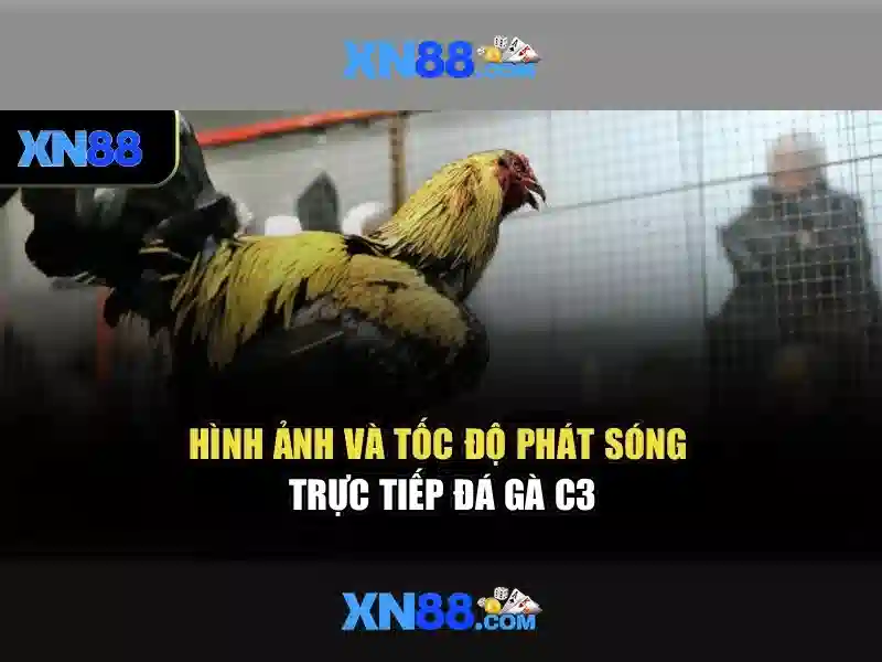💎bài đánh giá về xn88 hồ chí minh💎