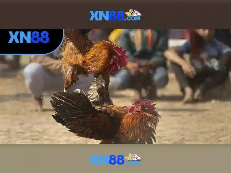 💎ee88 888slot💎