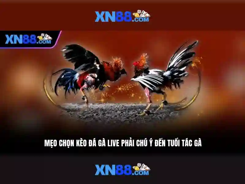 💎123 xn88 login registration💎