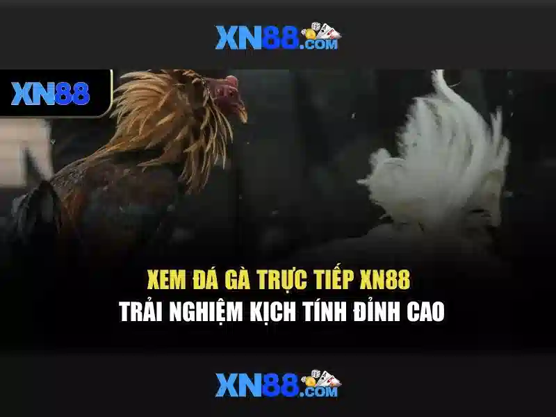 💎tỷ số cá cược tối nay💎