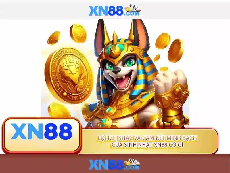 💎xn88 5999💎