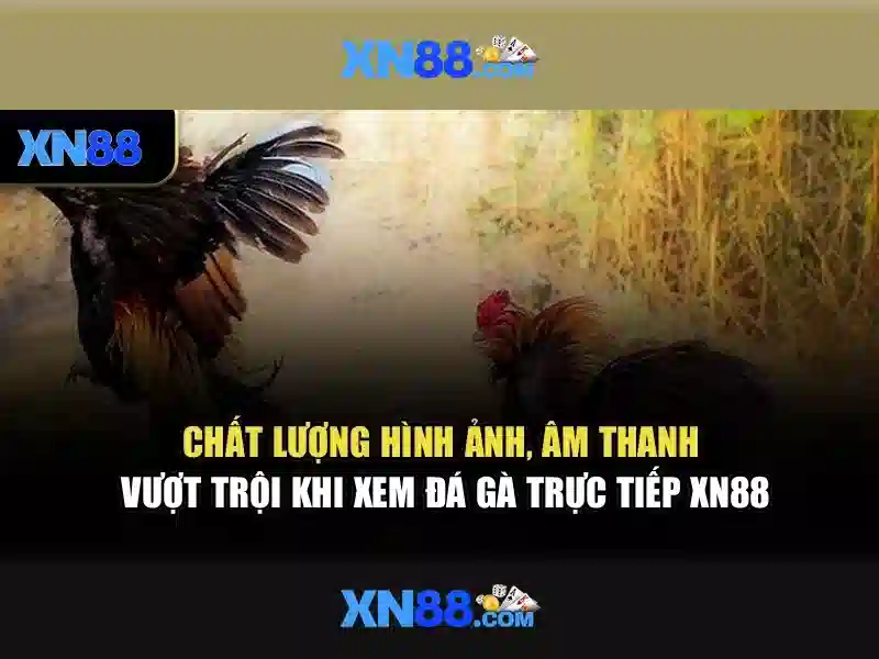 💎fortune king jackpot xn88💎