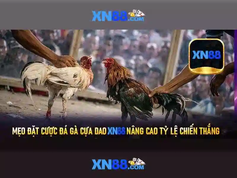 💎nha cái 789bet💎