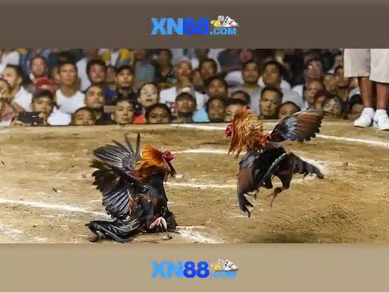 💎sex 888 slot💎