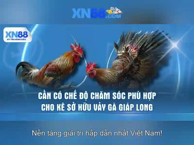💎công ty tnhh điện khí 888slot việt nam💎
