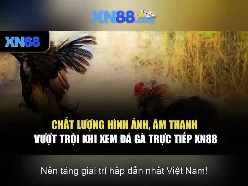 💎888 slot vip777 login💎