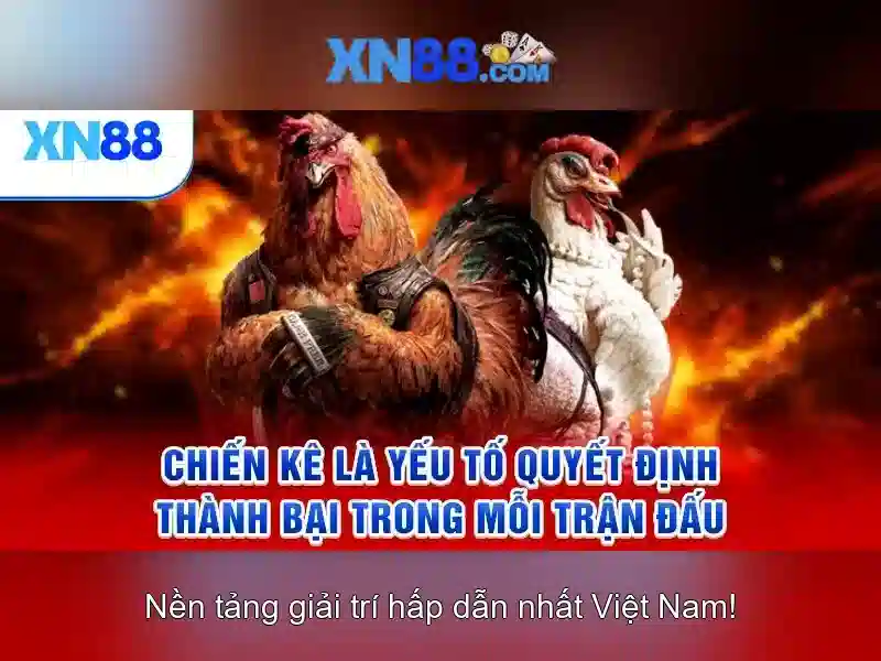 chơi có trách nhiệm - XN88