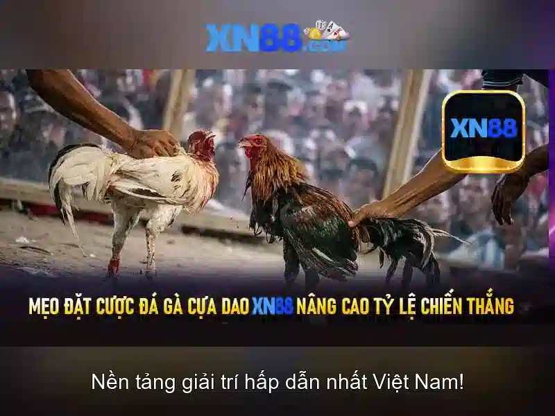  Ưu đãi Slot - XN88