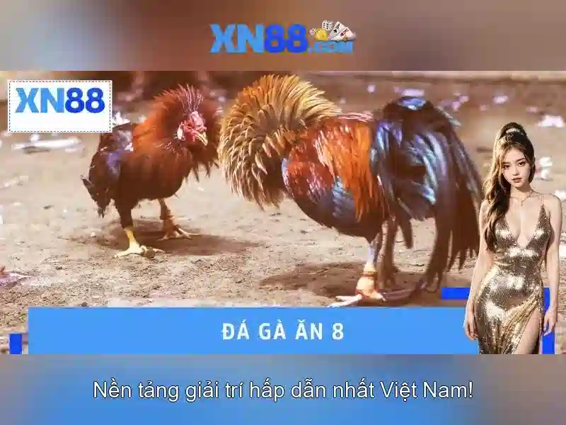 💎một cuộc đời một bài ca duy nhất💎