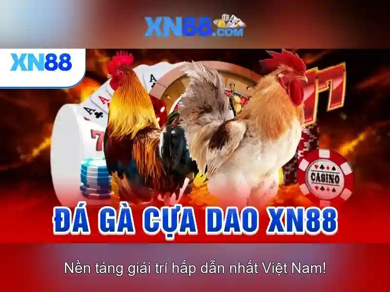 💎cá cược trực tuyến việt nam💎