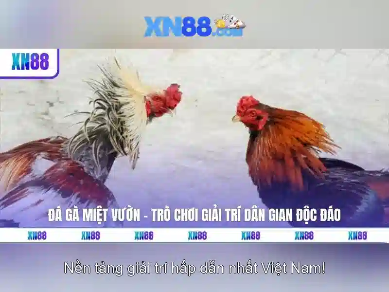 💎nha cai 77win💎