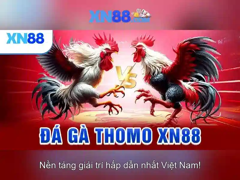 💎tỷ lệ cá cược tây ban nha ý💎