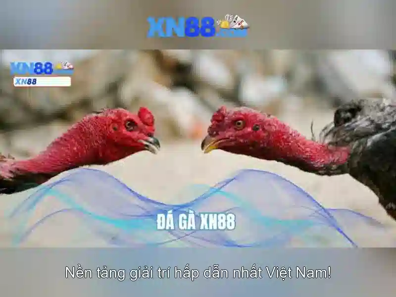 💎tử vi cả cuộc đời💎