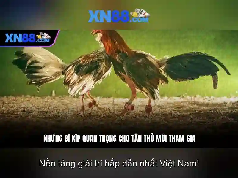 💎nhà hàng le bordeaux lào cai💎