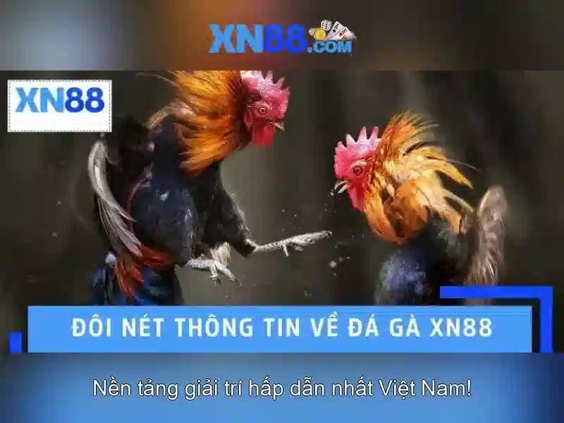 💎xn88 viet💎