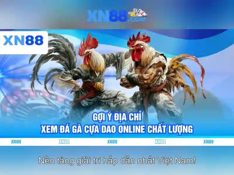 💎vụ đánh bạc 10 nghìn tỷ💎