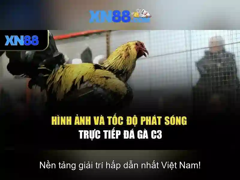 💎123b nhà cái prozacnorx.us.com💎