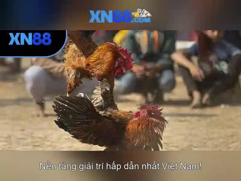 💎keo nha cai tran han quoc💎