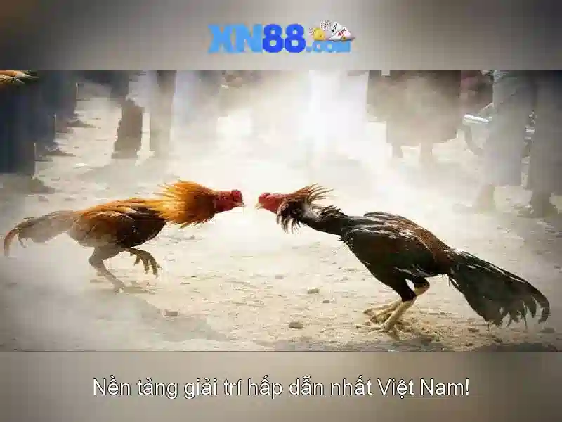 💎888 slot 711 casino login💎