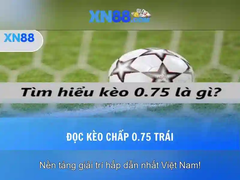Chính Sách Bảo Mật XN88 – Nguyên Tắc Riêng Tư Và An Toàn Cho Người Chơi - XN88