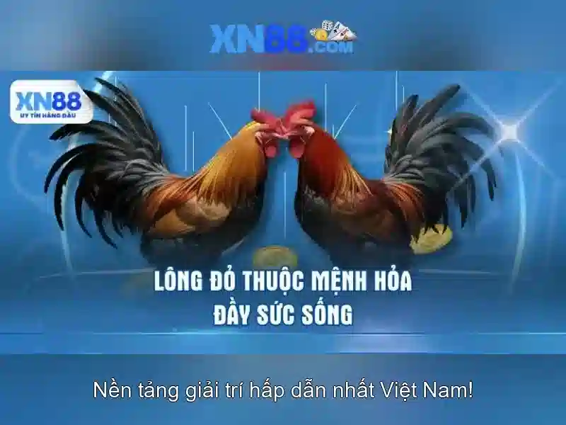 💎888slot slot tuổi💎