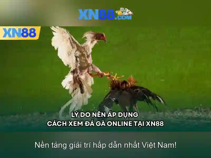 💎nhà cái new88.to💎