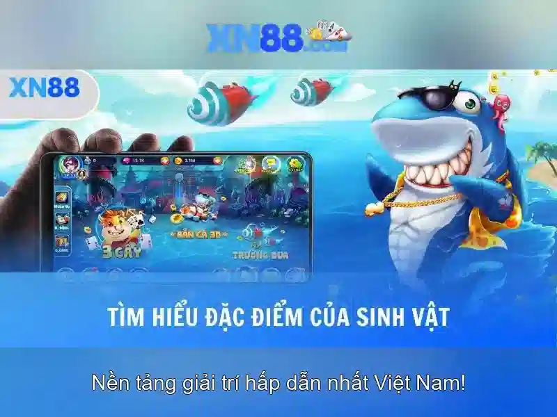 💎bắt kèo bóng đá chính xác nhất tại hb88💎