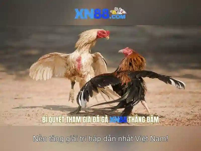 💎nổ hũ nổ hũ 888slot💎