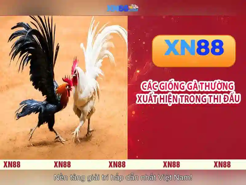 💎xn88 net đăng nhập💎