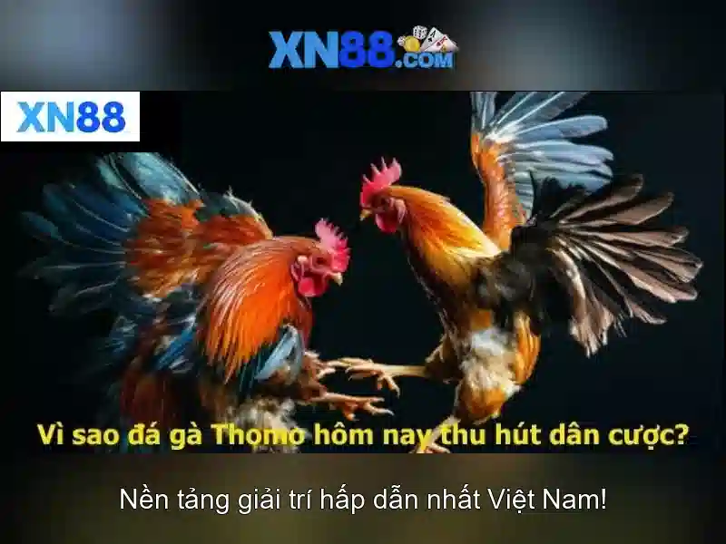 💎hlv liverpool 888 slot slot💎