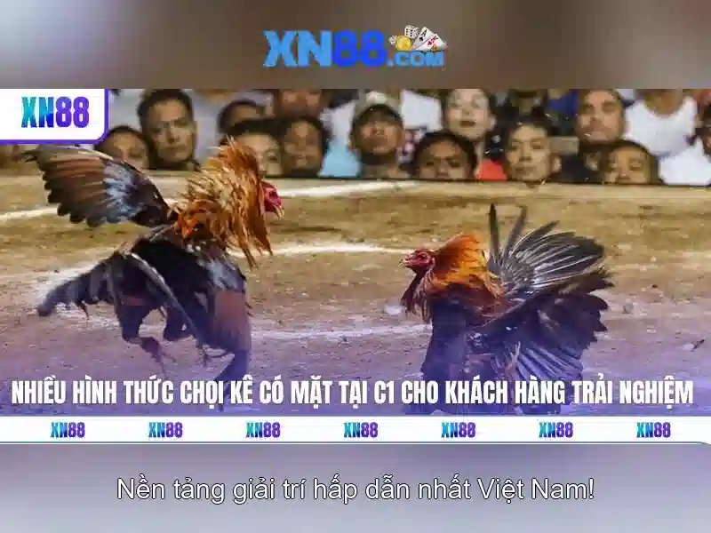 💎lại một cái tết xa nhà💎