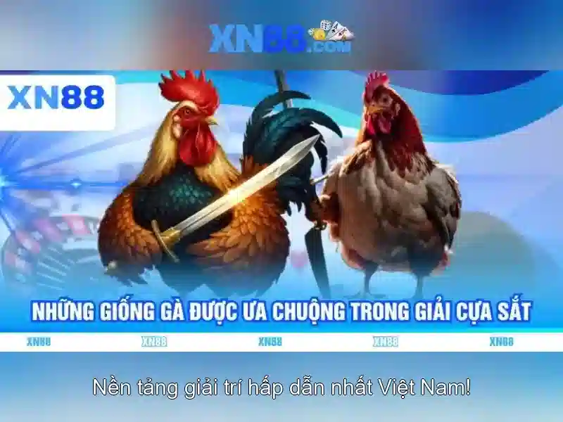 💎tỉ lệ cá cược tapchithethao💎