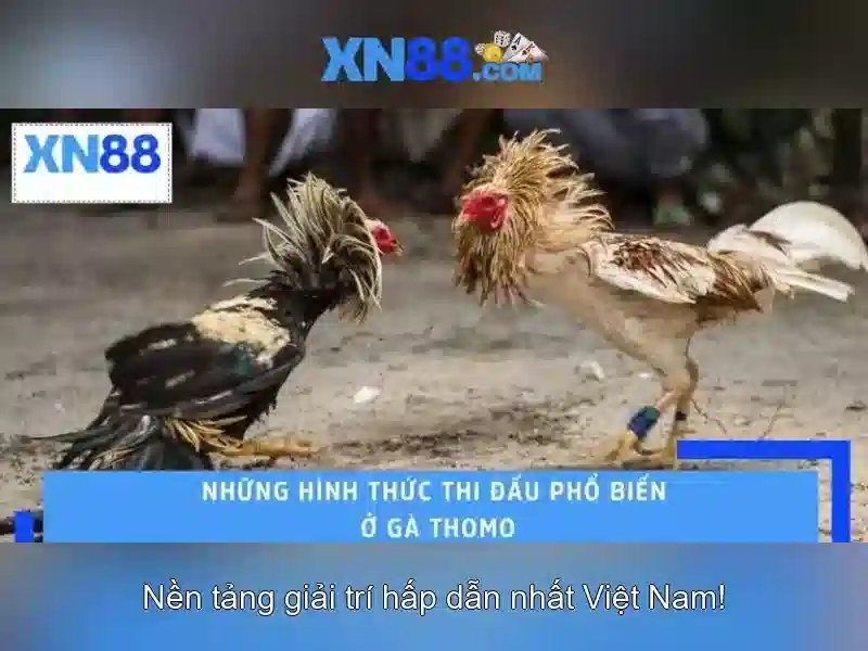 💎nha cai uy tin . guru💎
