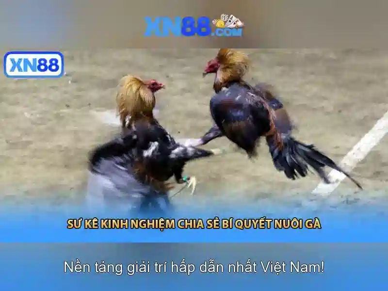 XN88 – Ứng dụng XN88 cho Slot game trực tuyến uy tín 2026 - XN88