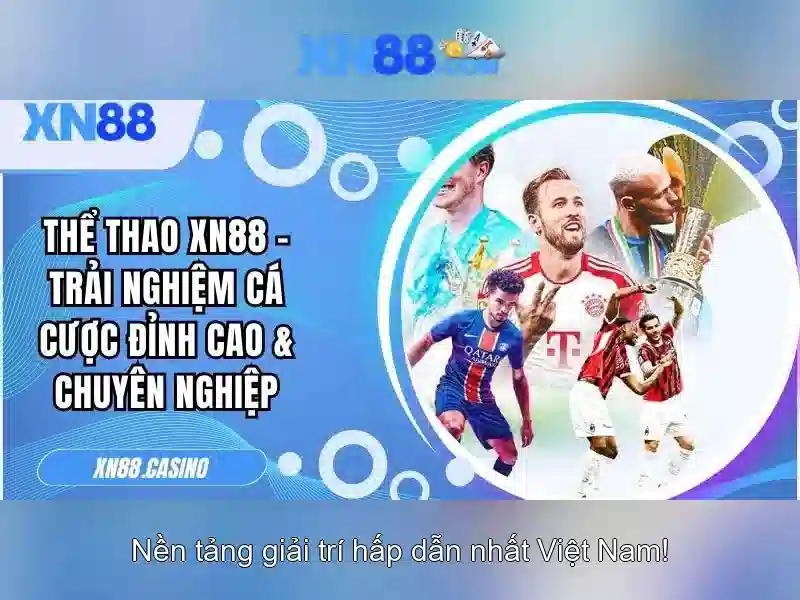 💎3 xn88💎