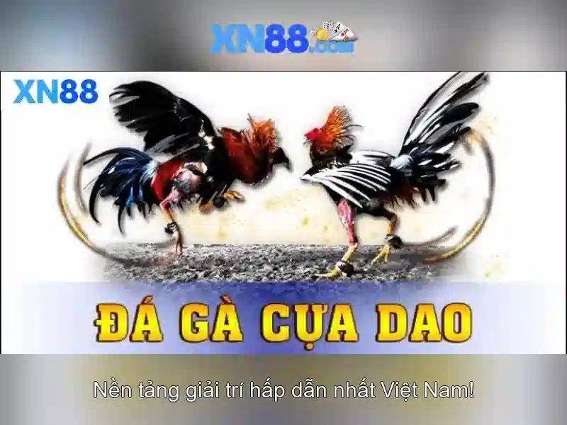 💎keo nha cai bong 88💎