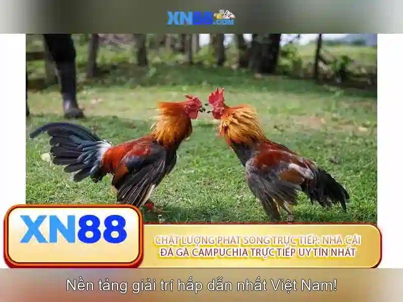 💎xn88 games xn88 slot💎