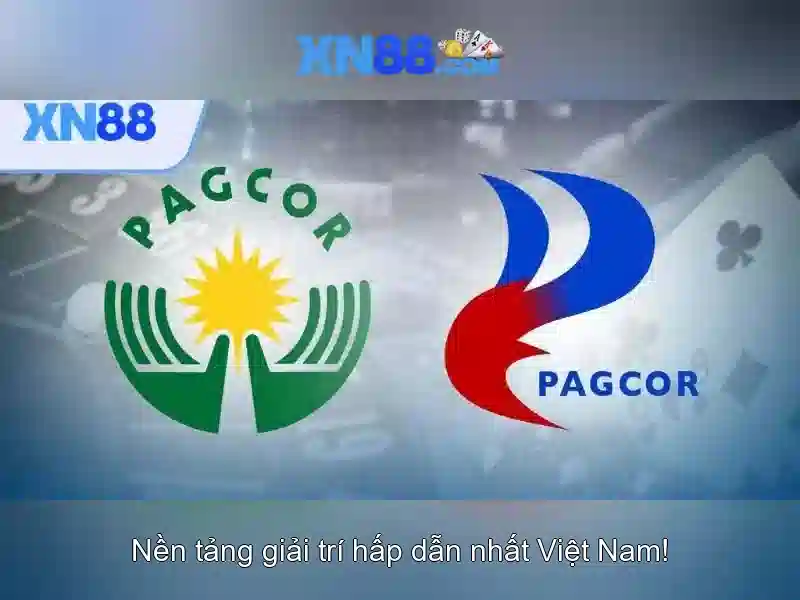 💎trang cá cược bóng đá top 12+💎