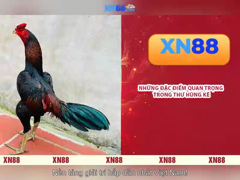 💎xn88 link truy cập nhà cái mới nhất tặng 188k💎