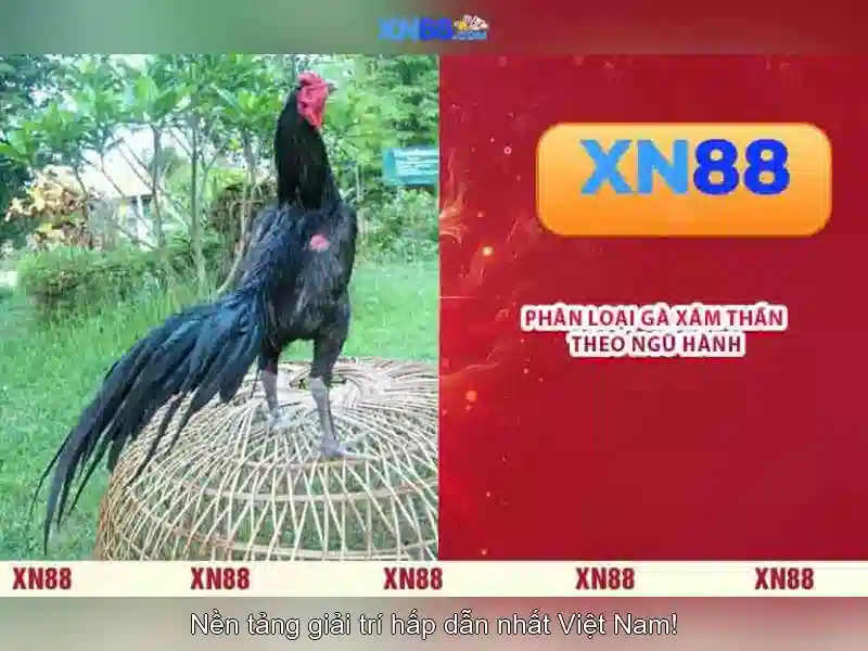 💎888 slot slot and virgil van dijk💎