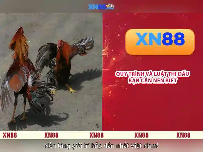 💎hb88 slot look alike💎