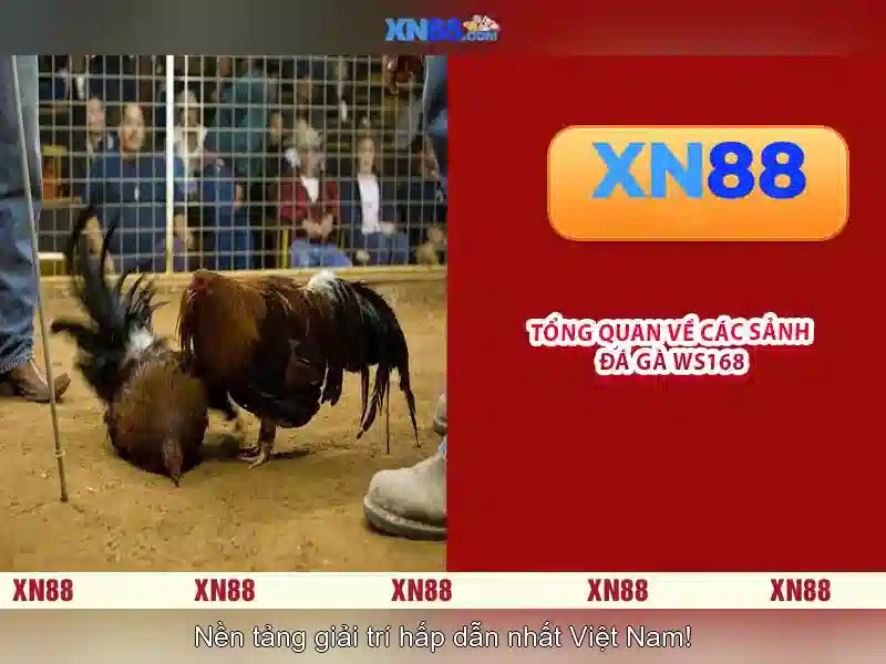 💎888slot galaxy casino💎