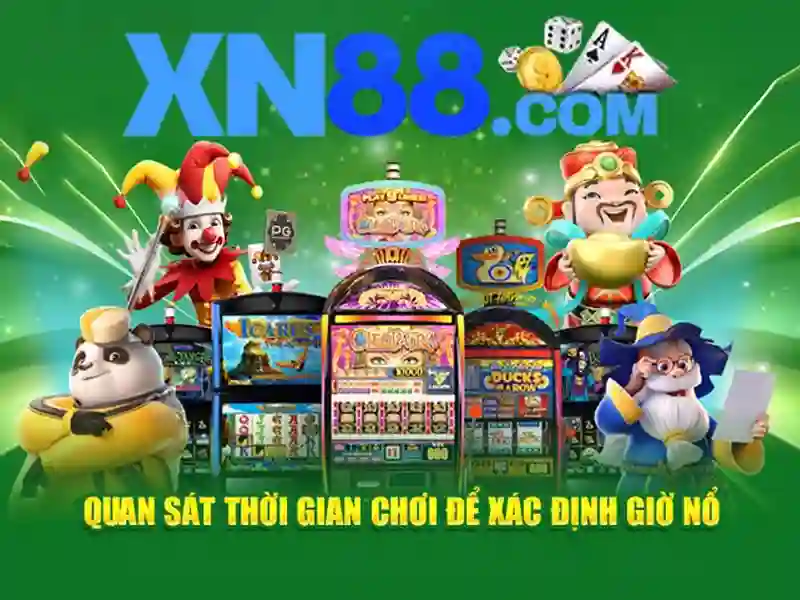  điều khoản - XN88