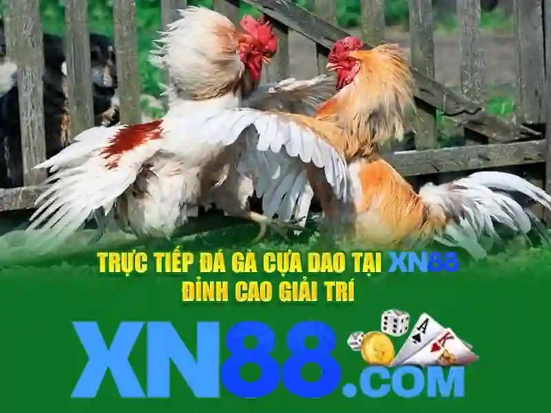 💎app xn88 com💎 - xn88-game - xn88-mobi